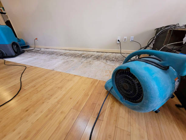 Professional Structural Drying technician working in Cumberland Foreside, ME